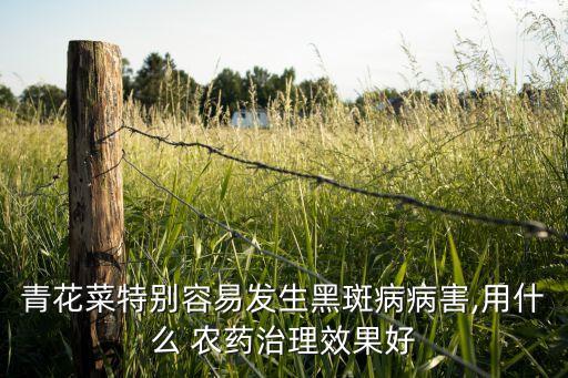 栽花菜澆什么農藥對根好