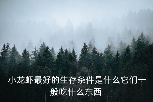  小龍蝦最好的生存條件是什么它們一般吃什么東西