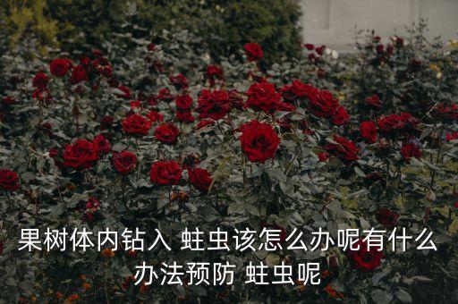 果樹體內(nèi)鉆入 蛀蟲該怎么辦呢有什么辦法預(yù)防 蛀蟲呢