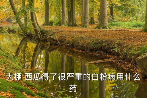 大棚 西瓜得了很嚴(yán)重的白粉病用什么藥