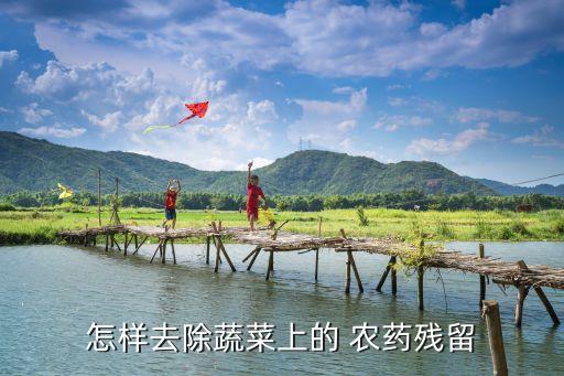 氣脂類農藥用什么分解
