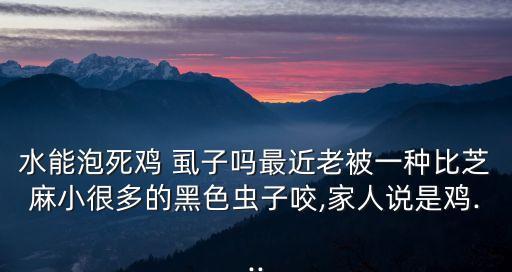 雞虱子用什么農藥好