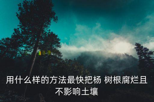 什么農藥能快速爛樹根大樹