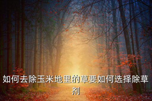 哈密秀曲靖農藥治什么草