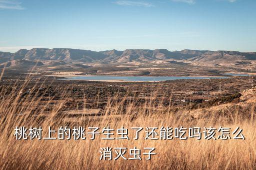 桃樹打蟲用什么農(nóng)藥,用什么農(nóng)藥可以桃樹死亡