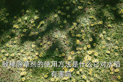 敵稗除草劑的使用方法是什么它對水稻有害嗎