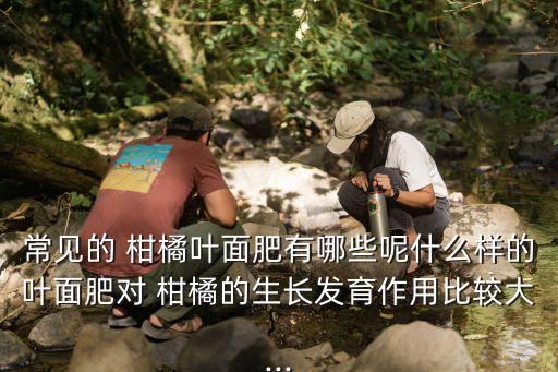 柑橘能施什么肥料呢農藥,柑橘苗用什么肥料最好