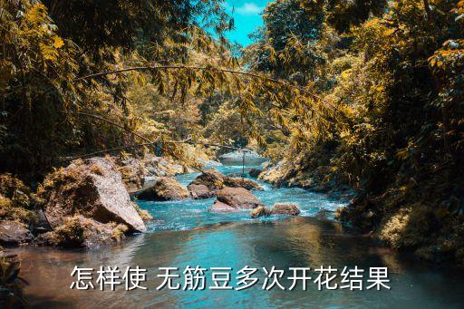 ,無筋豆高產用什么農藥