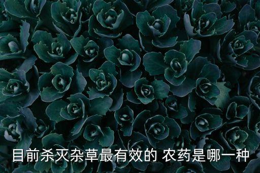 目前殺滅雜草最有效的 農藥是哪一種