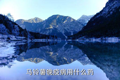 馬鈴薯晚疫病用什么藥