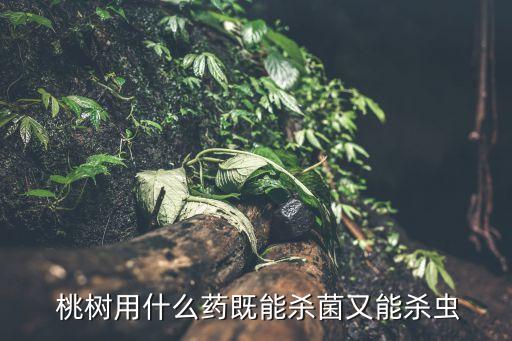  桃樹用什么藥既能殺菌又能殺蟲