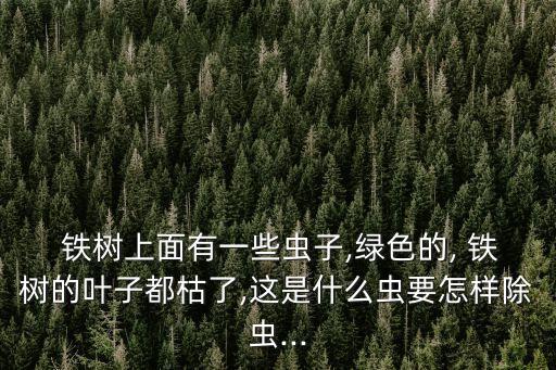  鐵樹(shù)上面有一些蟲(chóng)子,綠色的, 鐵樹(shù)的葉子都枯了,這是什么蟲(chóng)要怎樣除蟲(chóng)...