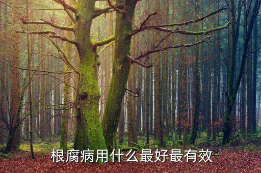萵筍根腐病用什么農(nóng)藥,萵筍打什么農(nóng)藥最好