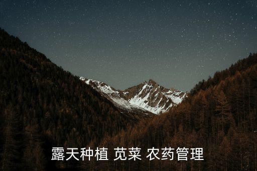 露天種植 莧菜 農藥管理