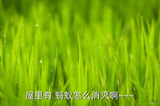 住宅用什么農藥殺死螞蟻,敵敵畏農藥可以殺死螞蟻嗎