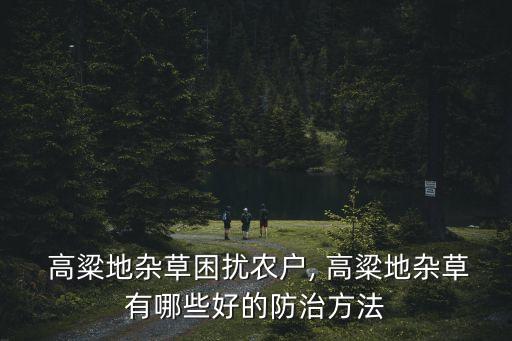  高粱地雜草困擾農戶, 高粱地雜草有哪些好的防治方法