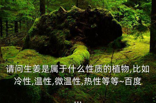 大姜赤葉該打什么農(nóng)藥