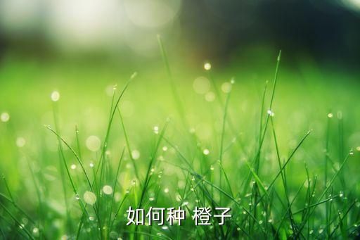 種橙子打什么農藥,橙子會不會打農藥