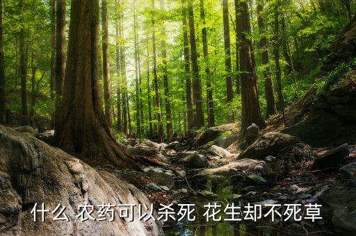 花生用什么農藥殺蟲,花生噴什么農藥最好