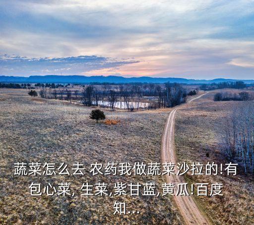 生菜爛菜打什么農藥,長的像生菜的菜叫什么