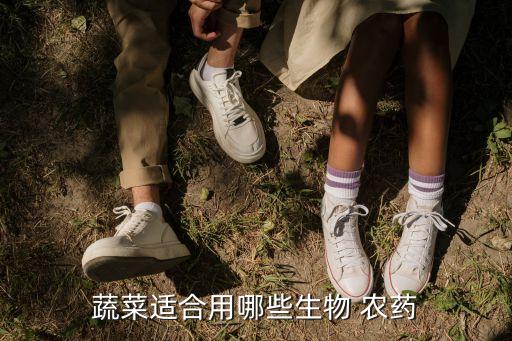 菜蟲用什么農藥殺比較好?,打什么農藥菜不壞