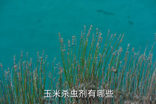 ,什么農藥能快速讓玉米抽穗