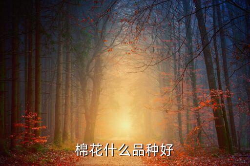 嘉祥出產(chǎn)的農(nóng)藥是什么藥