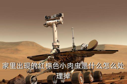 什么農藥殺死烏肉蟲最好,用什么農藥可以將樹木殺死