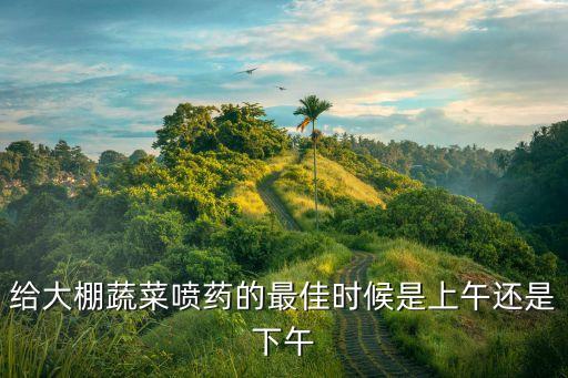 噴霧農(nóng)藥什么時(shí)間最好,冬季清園用什么農(nóng)藥最好