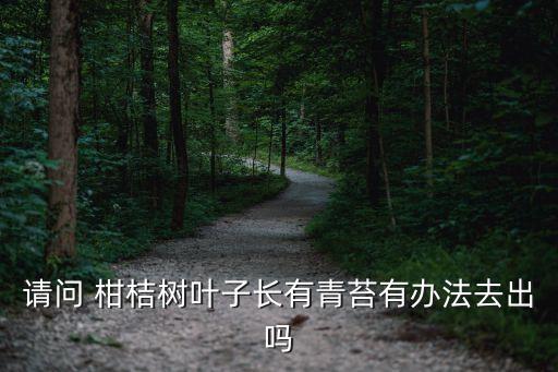 請問 柑桔樹葉子長有青苔有辦法去出嗎