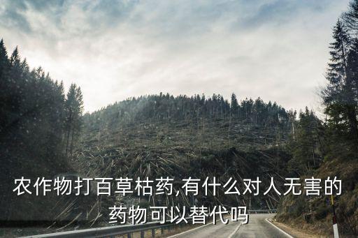 農作物打百草枯藥,有什么對人無害的藥物可以替代嗎