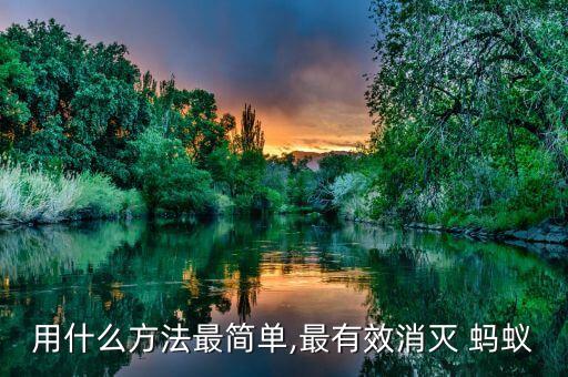 用什么方法最簡單,最有效消滅 螞蟻