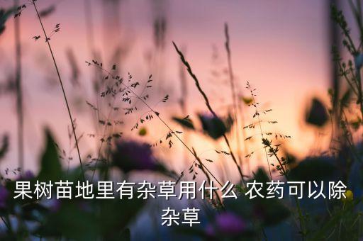 果樹(shù)苗地里有雜草用什么 農(nóng)藥可以除雜草