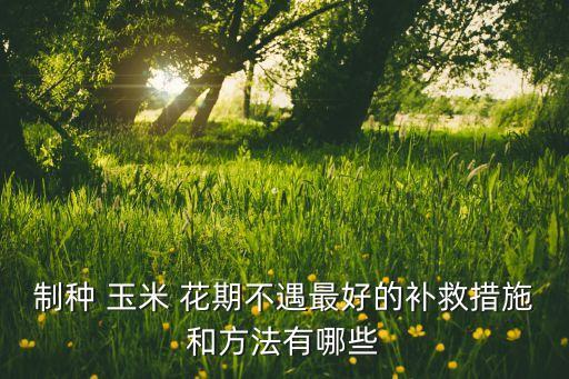 玉米花期可用什么農藥