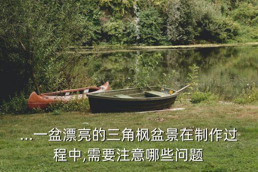 ...一盆漂亮的三角楓盆景在制作過程中,需要注意哪些問題