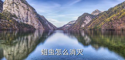 蛆蟲怎么消滅