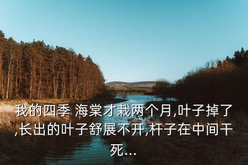 什么農(nóng)藥治海棠病毒,農(nóng)藥病毒a治什么病