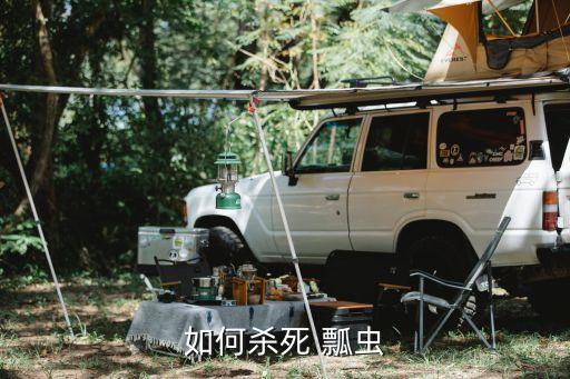 如何殺死 瓢蟲