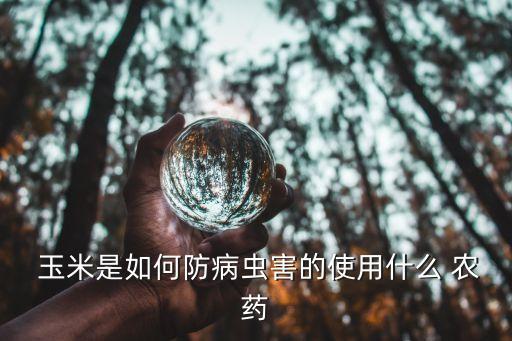  玉米是如何防病蟲害的使用什么 農藥