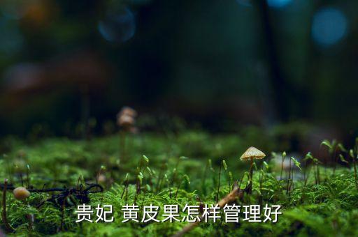 黃皮樹噴什么農藥多,黃皮果打什么農藥