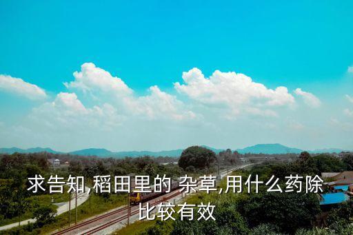 求告知,稻田里的 雜草,用什么藥除比較有效