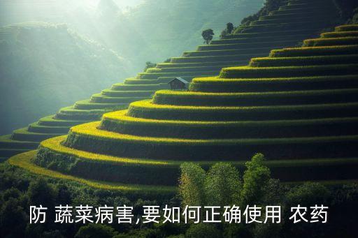 蔬菜噴灑農(nóng)藥是早上好還是傍晚好,蔬菜農(nóng)藥什么時候噴灑