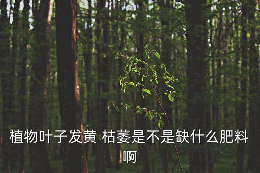 枯萎黃葉用什么農(nóng)藥,枯萎的黃葉什么的落下來(lái)
