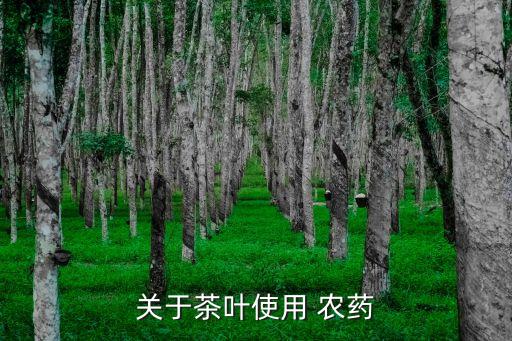 關于茶葉使用 農藥