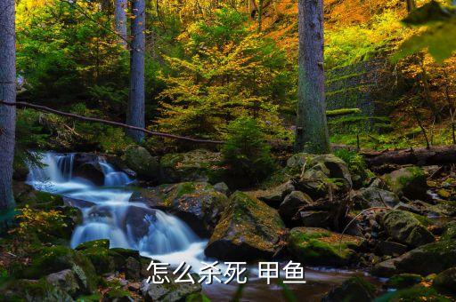 什么農(nóng)藥可以毒翻甲魚(yú)