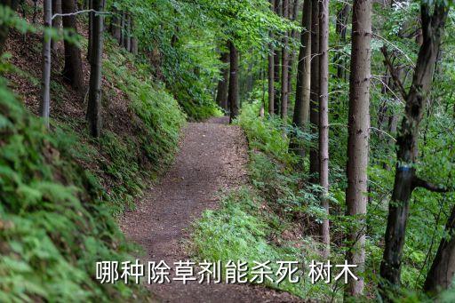 什么農藥對樹木危害最大,樹木花草噴什么農藥好用