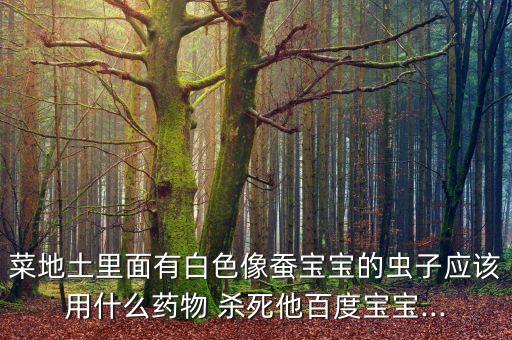 殺死土蠶的農藥是什么,土蠶用什么農藥殺死