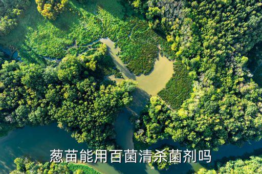蔥有莓病用什么農藥