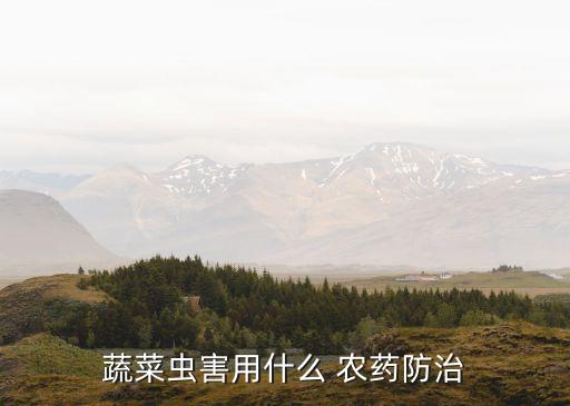 芋葉的蟲子用什么農藥,士地里有蟲子用什么農藥