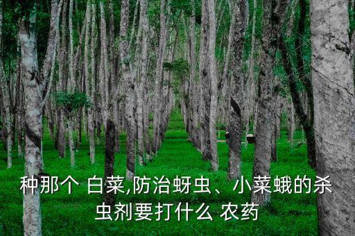 種那個 白菜,防治蚜蟲、小菜蛾的殺蟲劑要打什么 農藥
